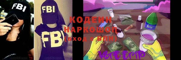 твердый Карпинск