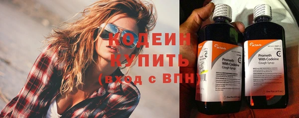 твердый Карпинск