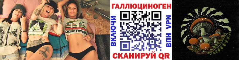 Купить где  Старица  Псилоцибиновые грибы Psilocybe 